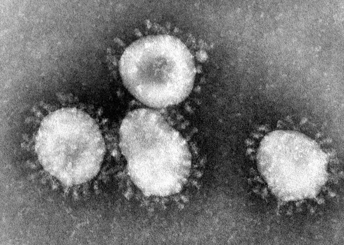 Novel Coronavirus: Preventative Steps You Can Take – National Safety Education ...1200 x 855